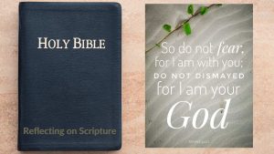 Open Bible with Highlighted Verses - Reflecting on Scripture