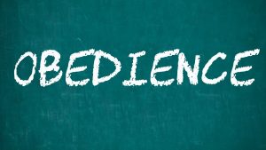 Obedience written on a blackboard