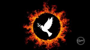  white dove in a circle of fire - God's Peace
