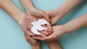 Shalom, hands holding a white paper dove