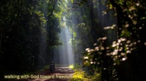 Forest path with light—walking with God toward freedom