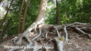 A stylized or graphic illustration of a large, strong tree with deep, visible roots extending into the soil, symbolizing a strong foundation of beliefs and values.
