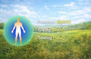 Freedom, Giving, Sowing 
