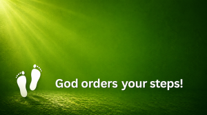 God orders your steps