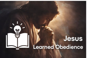 Jesus learnt obedience