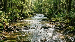 Flowing water representing spiritual renewal and the Holy Spirit's refreshing presence.